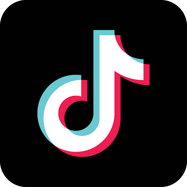 How To Make Your TikTok Profile Private [Guide]