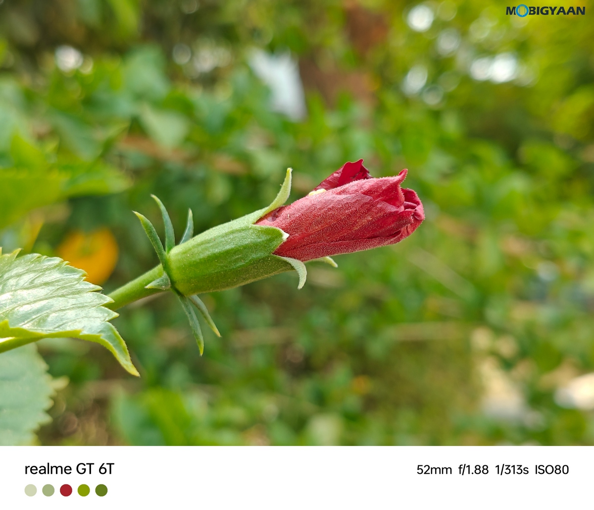 realme GT 6T Review Camera Samples 16