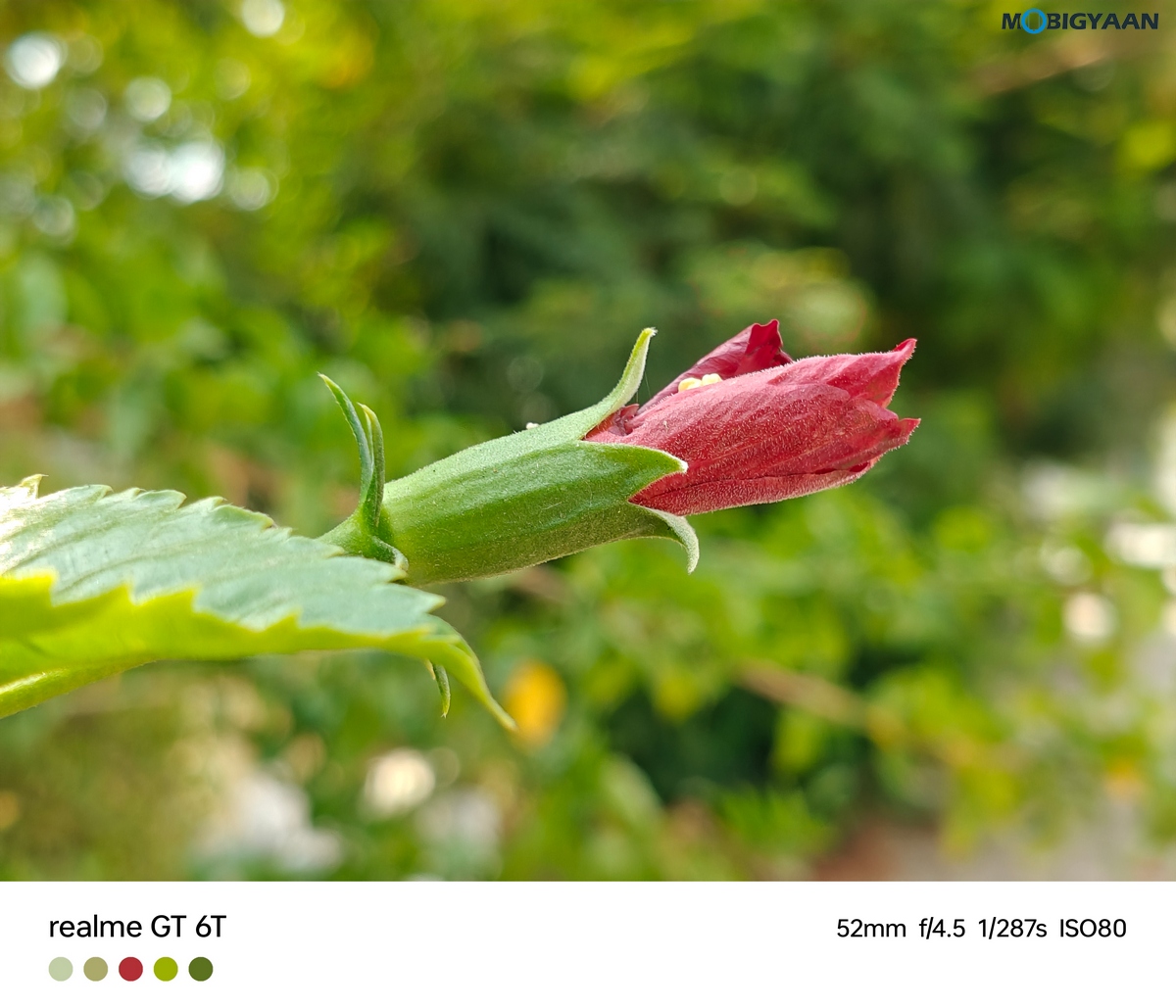 realme GT 6T Review Camera Samples 17