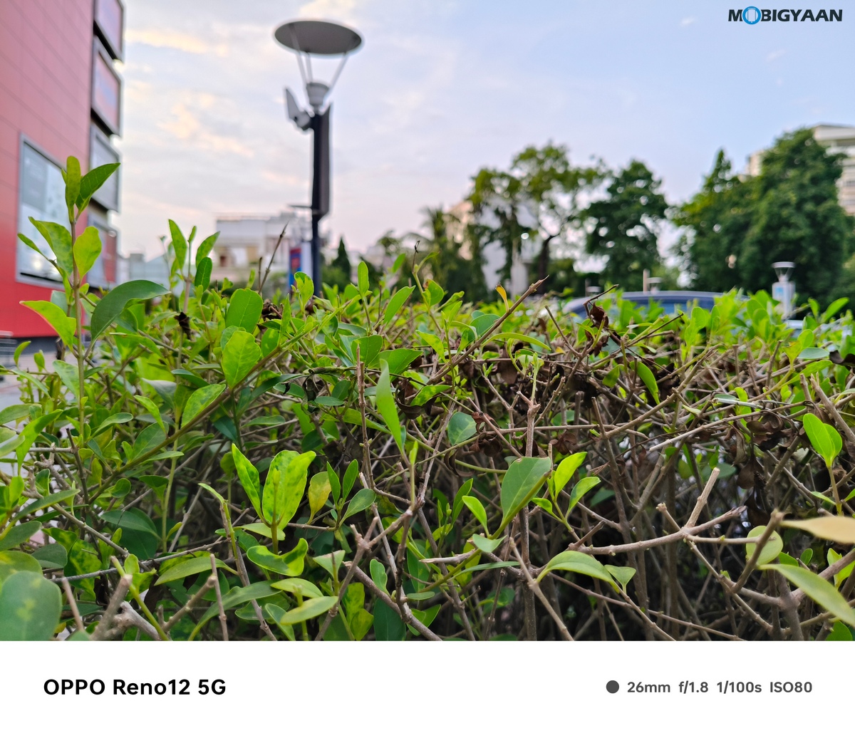 OPPO Reno12 5G Review Camera Samples 10