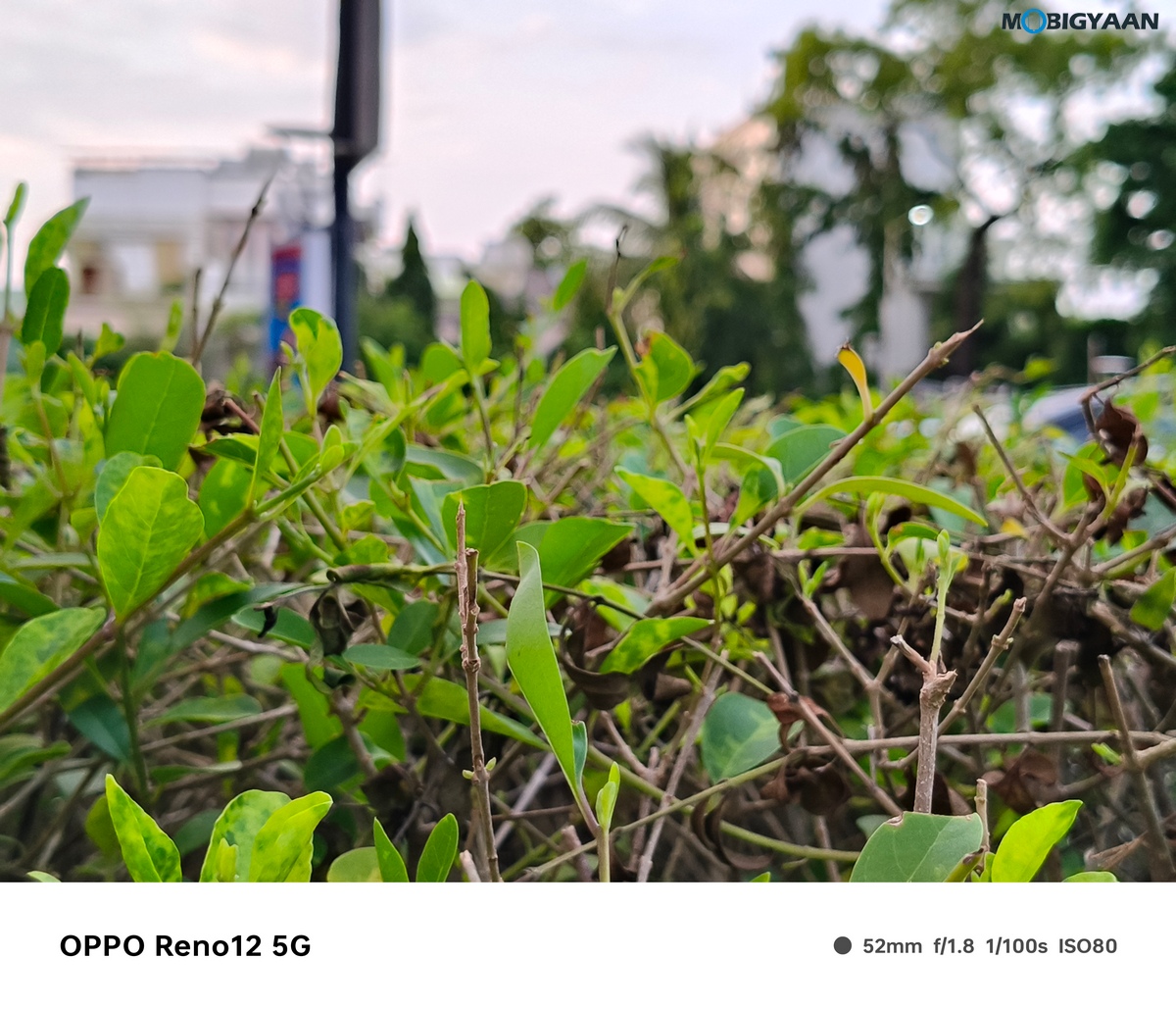 OPPO Reno12 5G Review Camera Samples 11