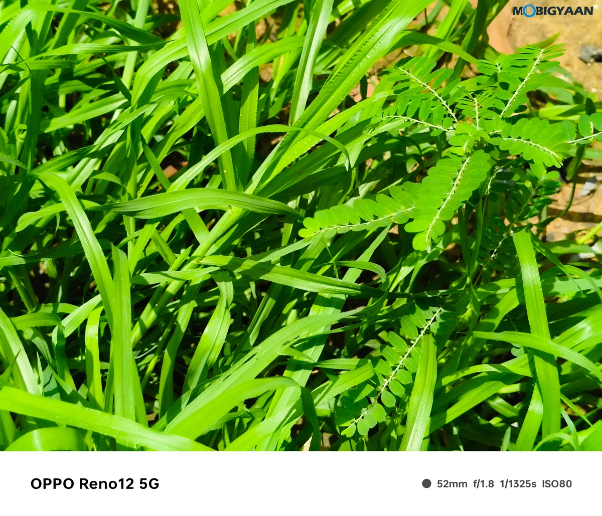 OPPO Reno12 5G Review Camera Samples 15