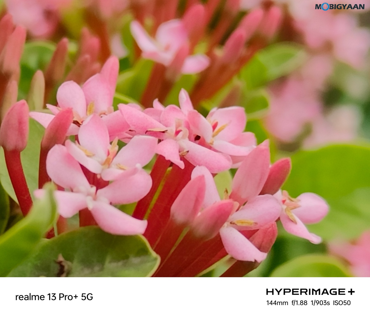 realme 13 Pro 5G Review Camera Samples 25 1