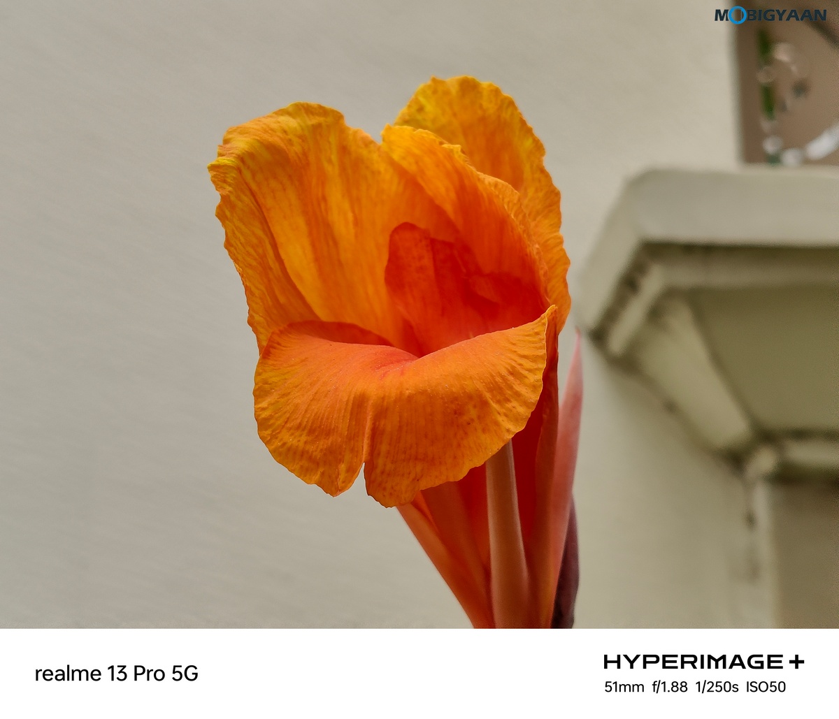 realme 13 Pro 5G Review Camera Samples 9