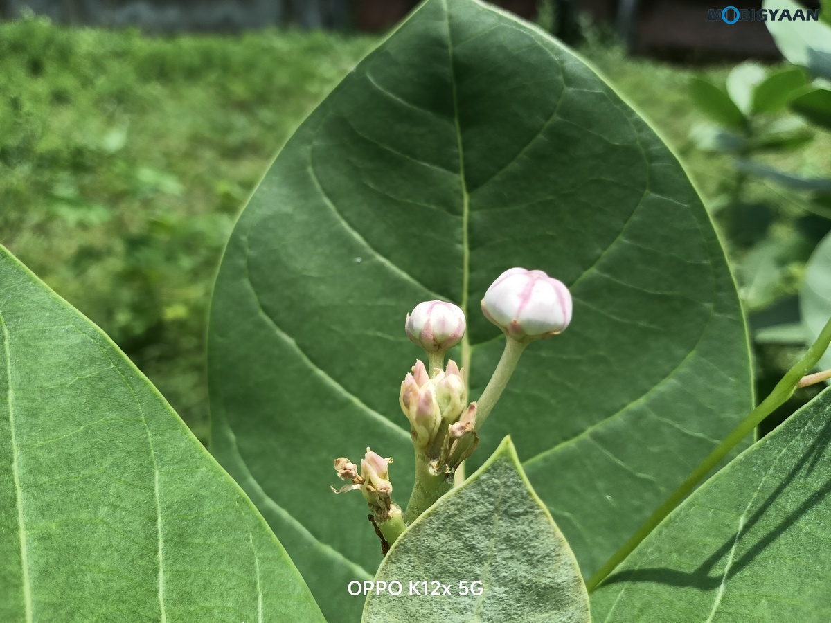 OPPO K12x 5G Review Camera Samples 10