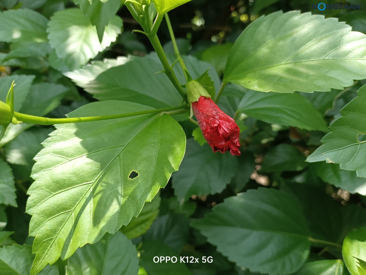 OPPO K12x 5G Review Camera Samples 2