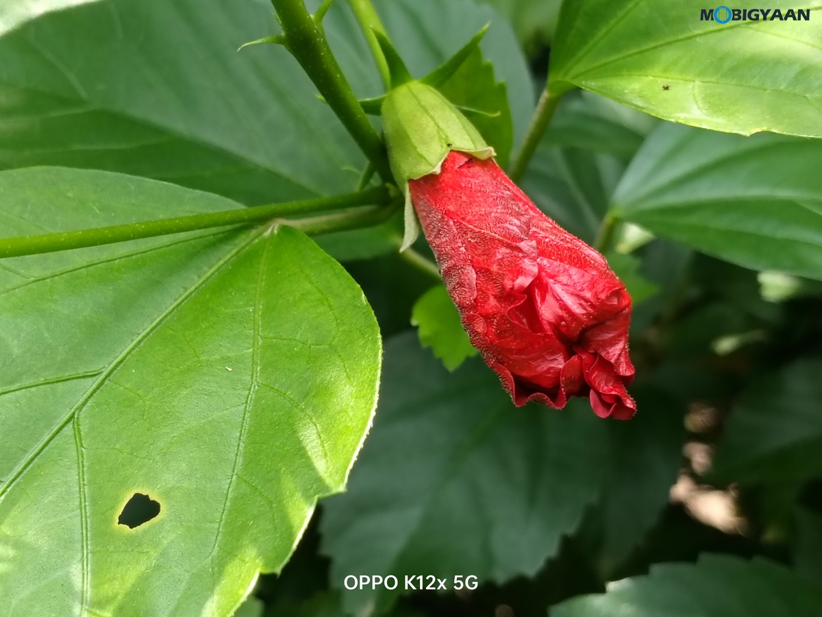 OPPO K12x 5G Review Camera Samples 3