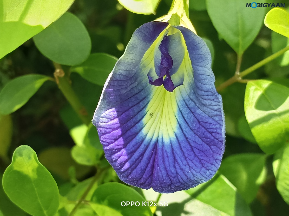 OPPO K12x 5G Review Camera Samples 5