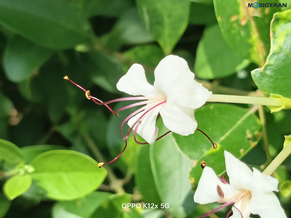 OPPO K12x 5G Review Camera Samples 6