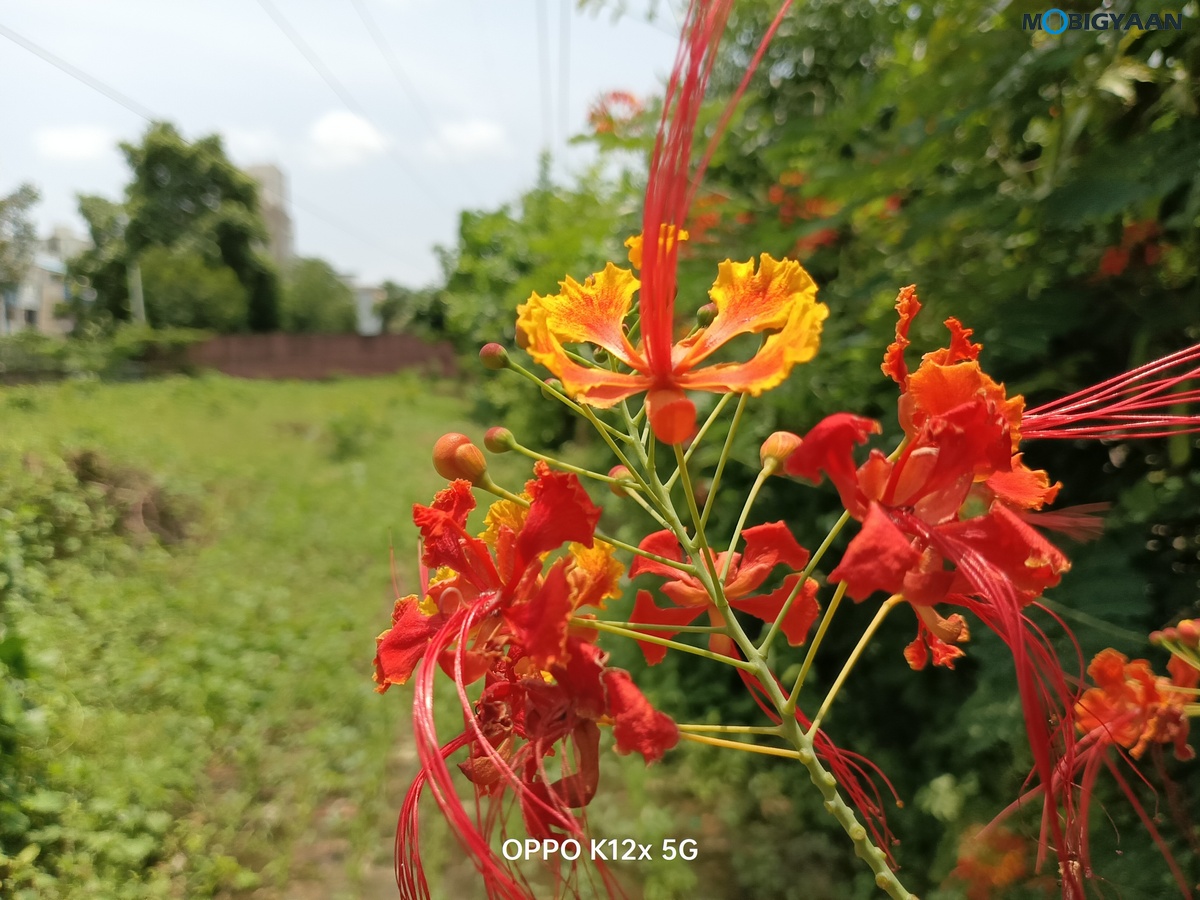 OPPO K12x 5G Review Camera Samples 7