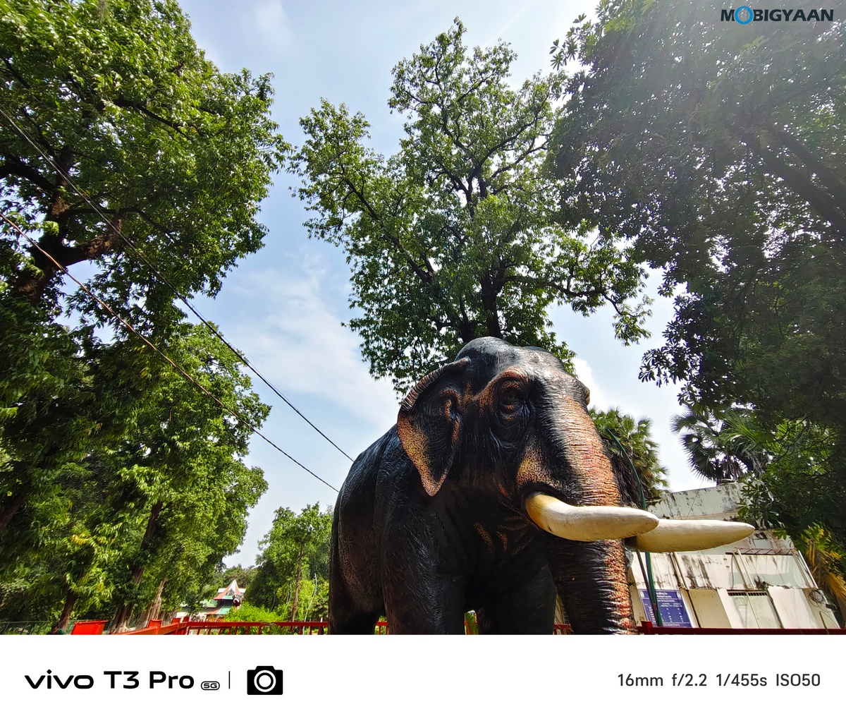 vivo T3 Pro 5G Review Camera Samples 11