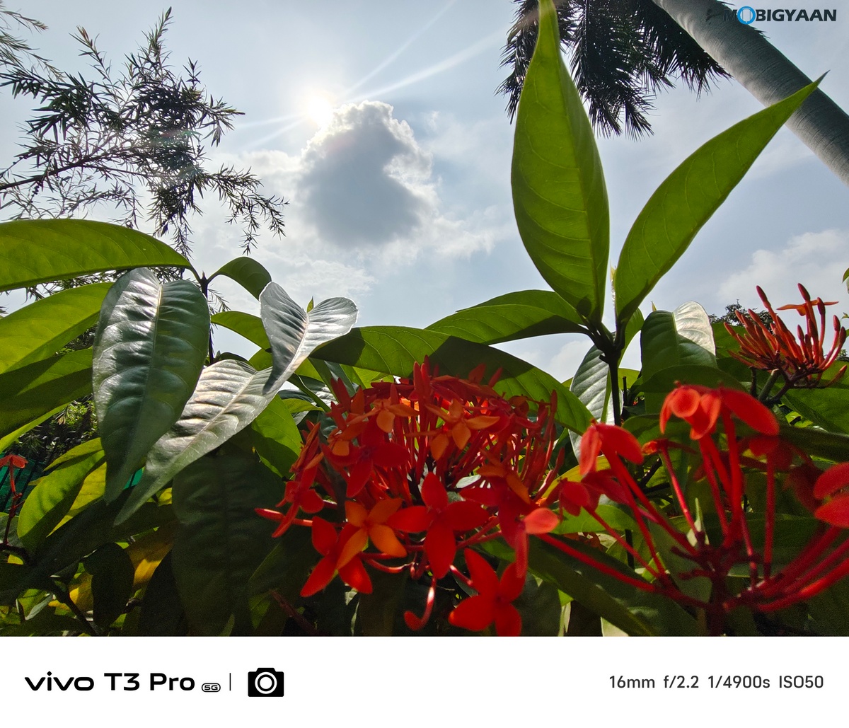 vivo T3 Pro 5G Review Camera Samples 12