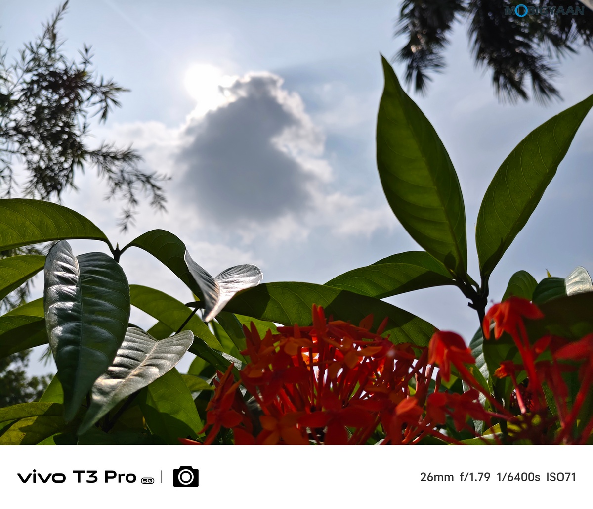 vivo T3 Pro 5G Review Camera Samples 13