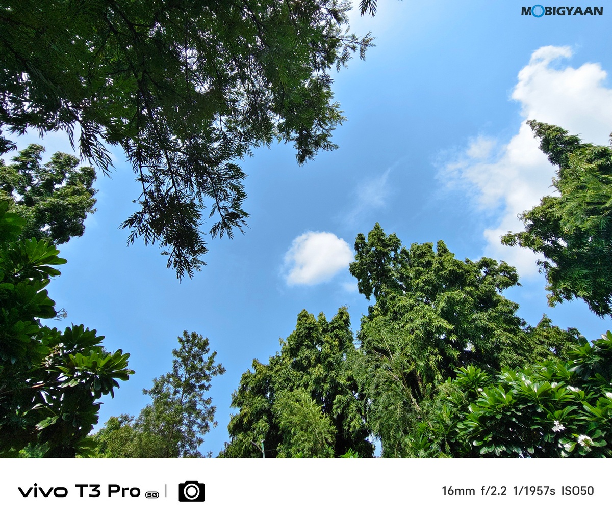 vivo T3 Pro 5G Review Camera Samples 15