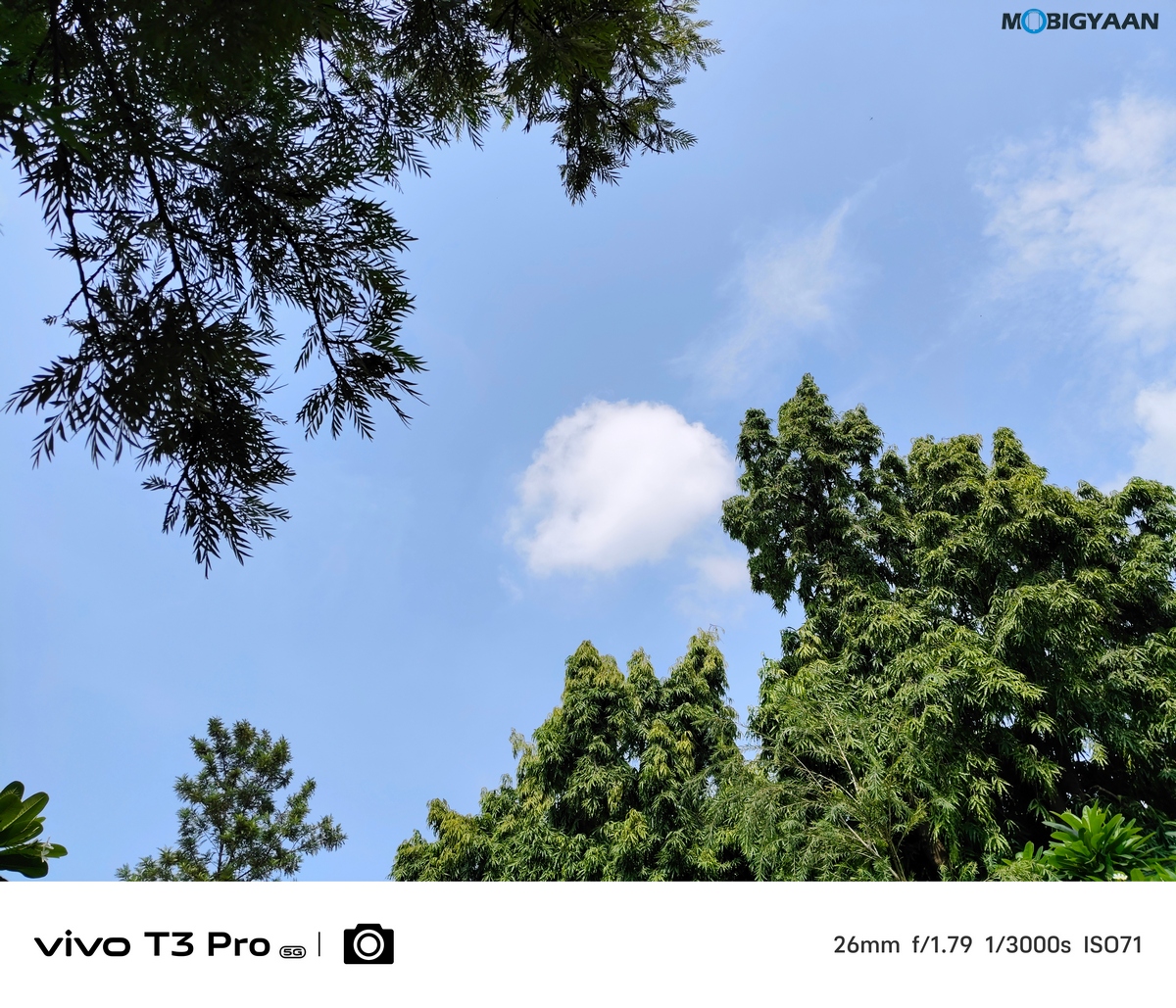 vivo T3 Pro 5G Review Camera Samples 16