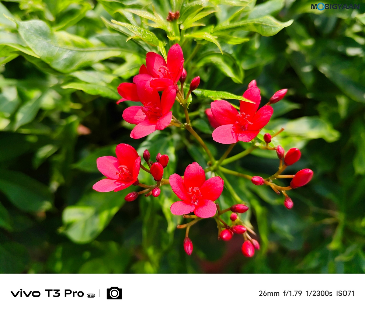 vivo T3 Pro 5G Review Camera Samples 18