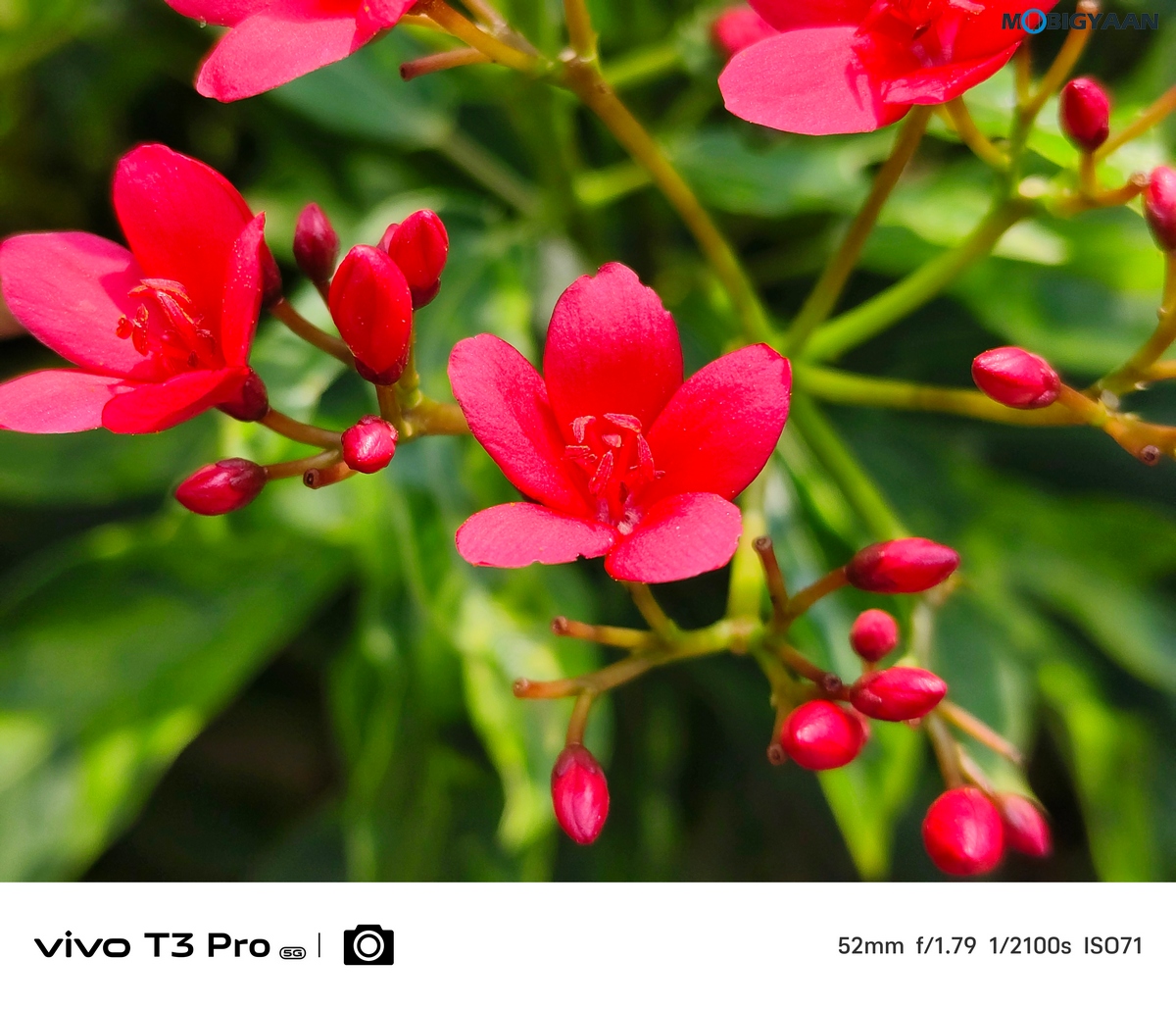 vivo T3 Pro 5G Review Camera Samples 19