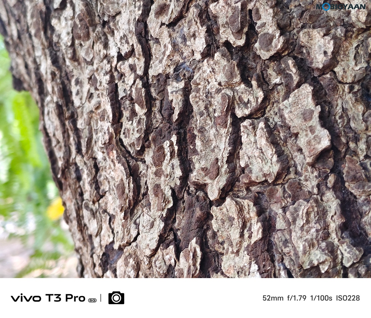 vivo T3 Pro 5G Review Camera Samples 21