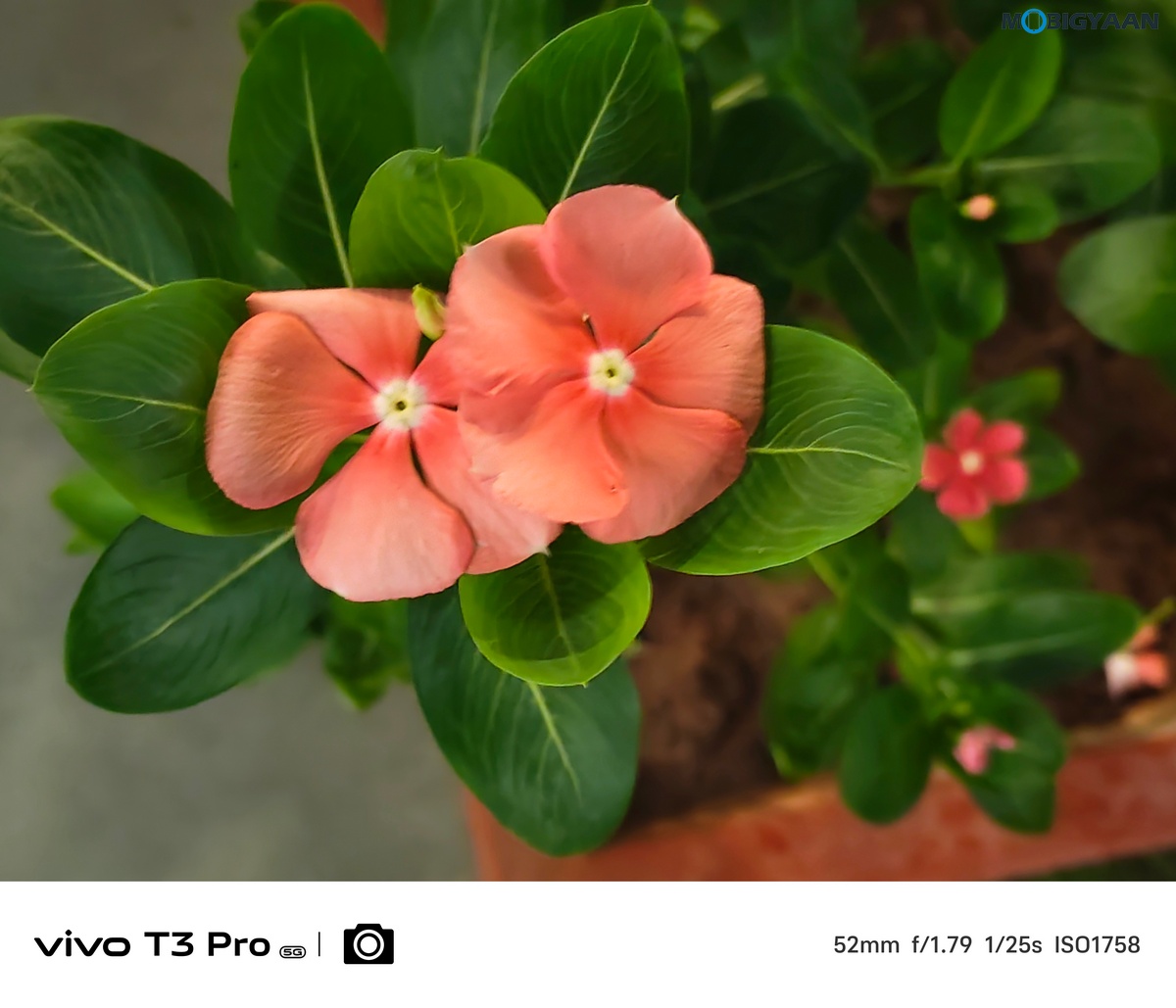 vivo T3 Pro 5G Review Camera Samples 23