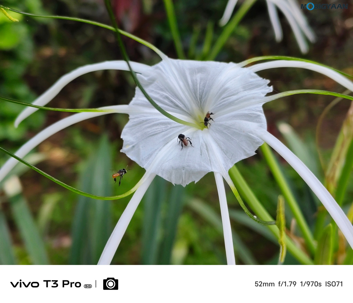 vivo T3 Pro 5G Review Camera Samples 9