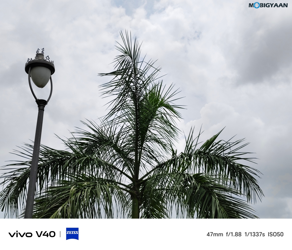 vivo V40 Review Camera Samples 24