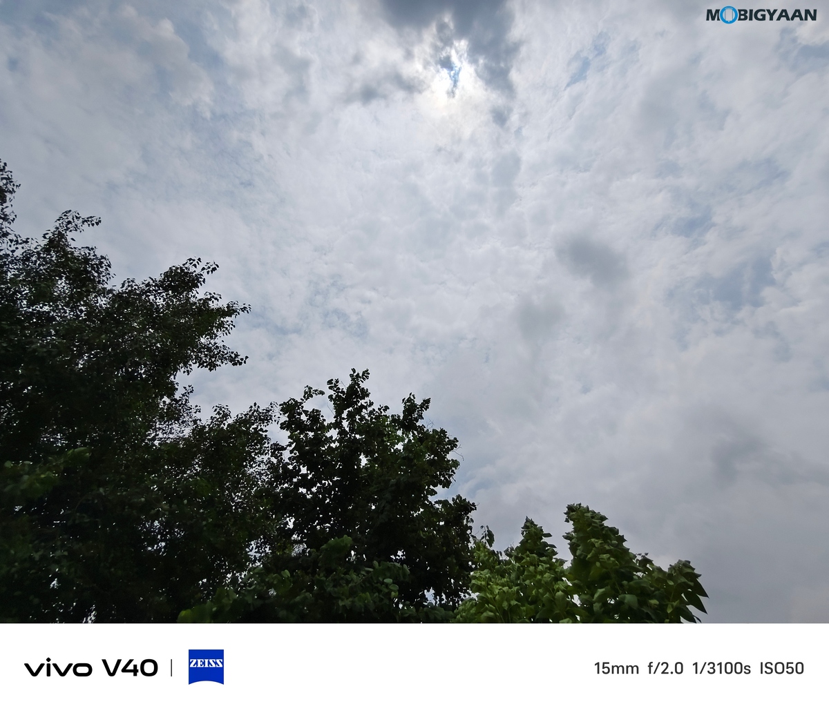 vivo V40 Review Camera Samples 25