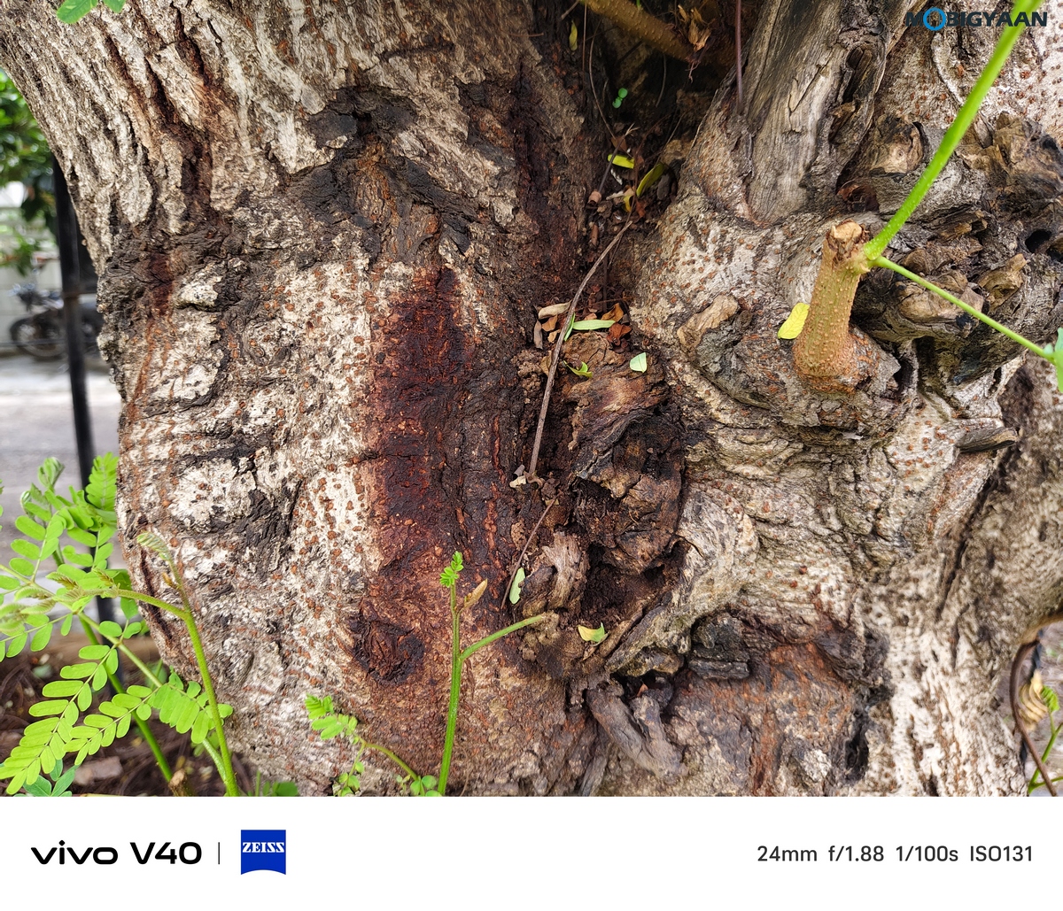 vivo V40 Review Camera Samples 3