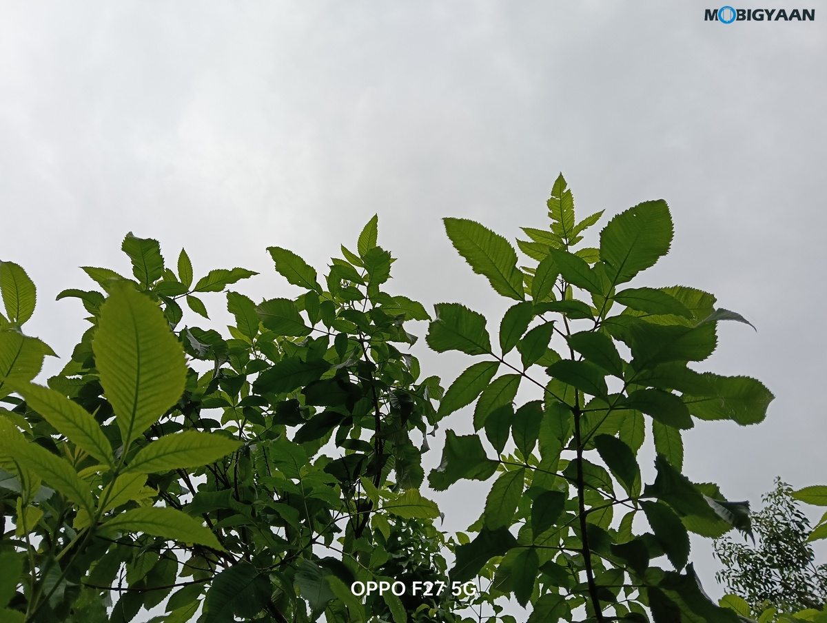 OPPO F27 5G Review Camera Samples 15