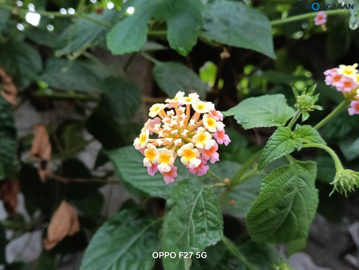 OPPO F27 5G Review Camera Samples 5