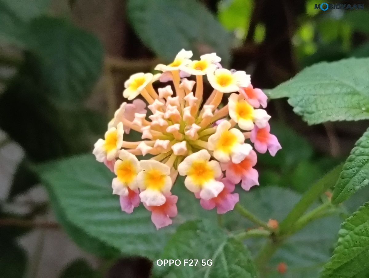 OPPO F27 5G Review Camera Samples 6