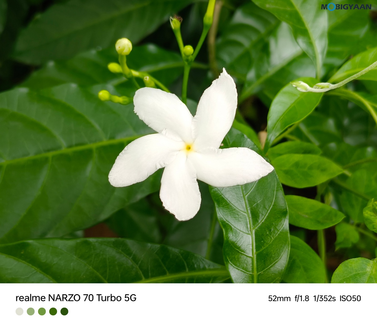 realme NARZO 70 Turbo 5G Review Camera Samples 12