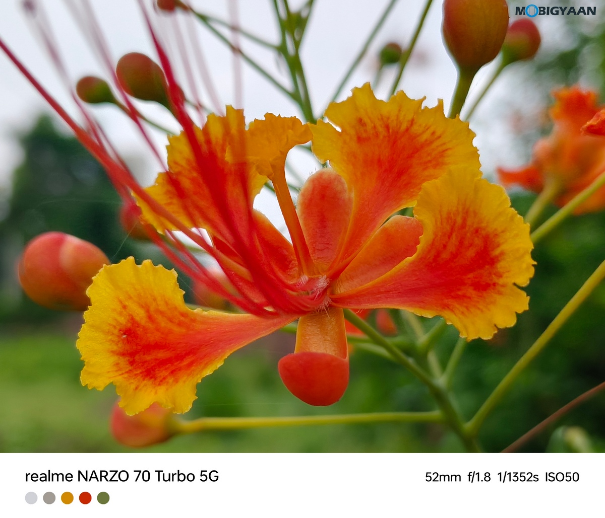 realme NARZO 70 Turbo 5G Review Camera Samples 14