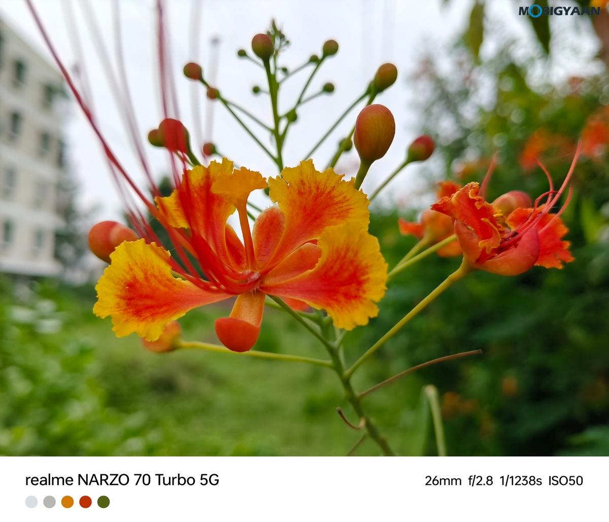 realme NARZO 70 Turbo 5G Review Camera Samples 15