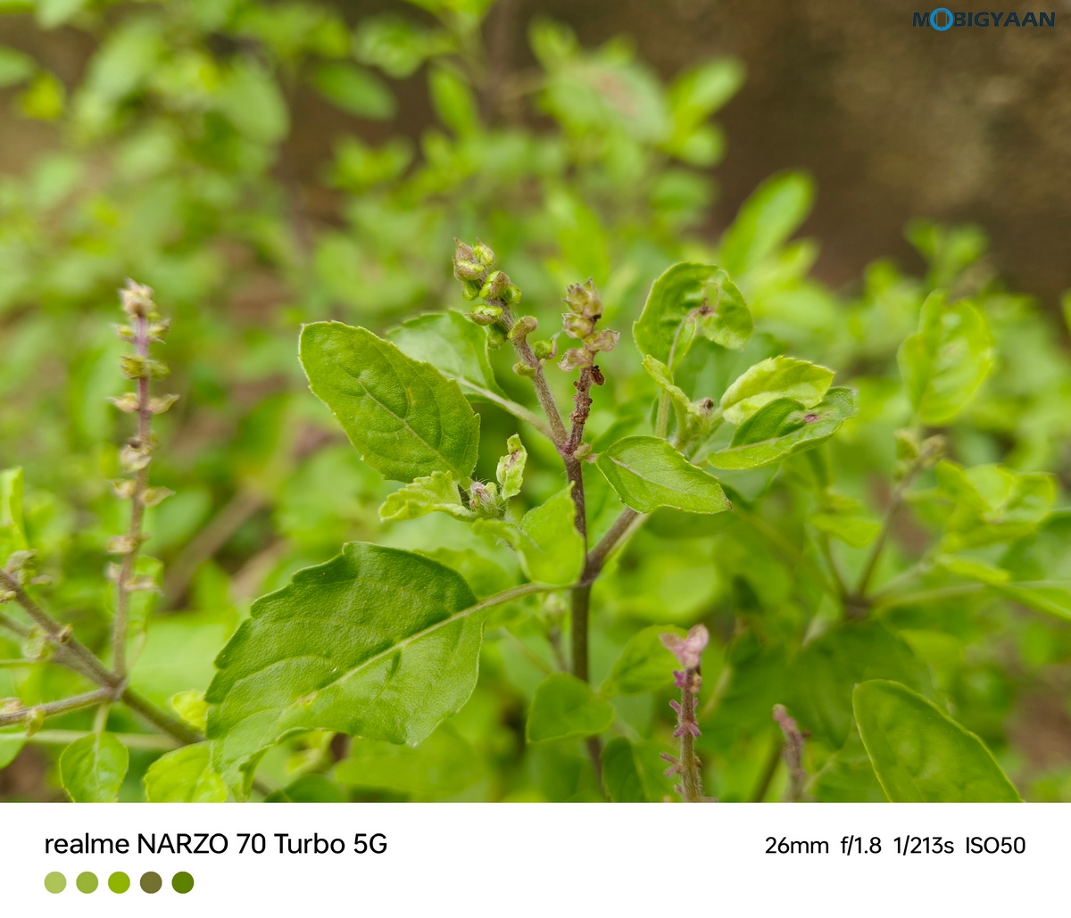 realme NARZO 70 Turbo 5G Review Camera Samples 6