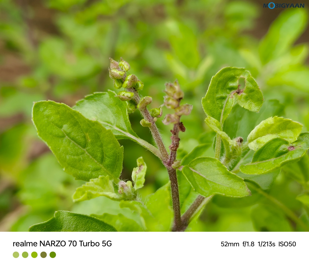 realme NARZO 70 Turbo 5G Review Camera Samples 7