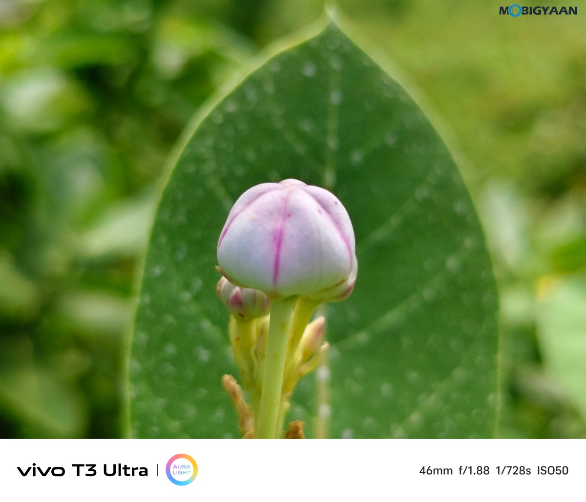 vivo T3 Ultra Review Camera Samples 14