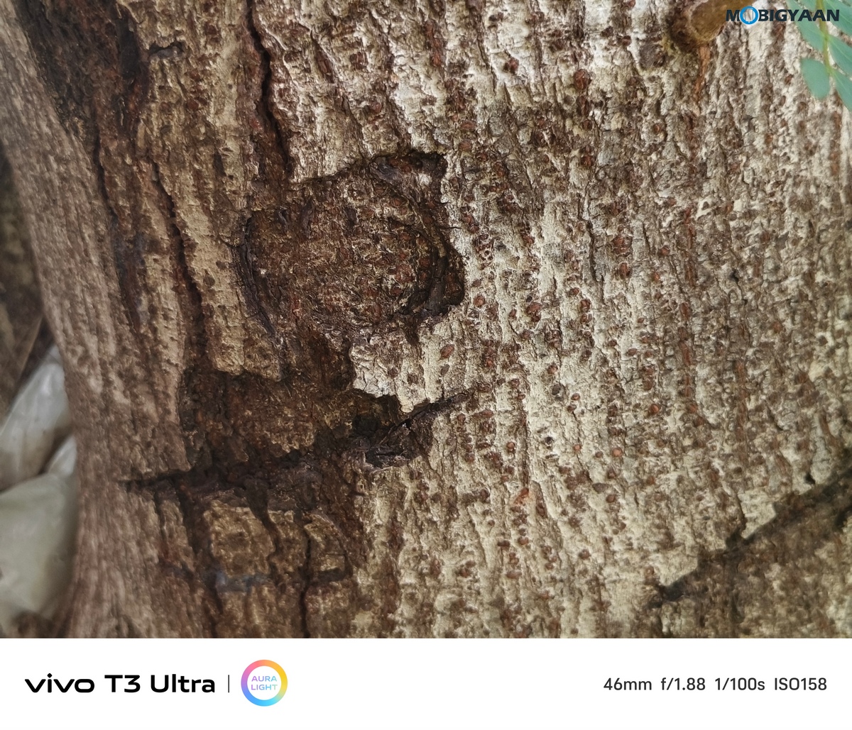 vivo T3 Ultra Review Camera Samples 3