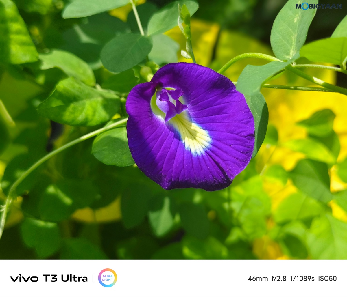 vivo T3 Ultra Review Camera Samples 9