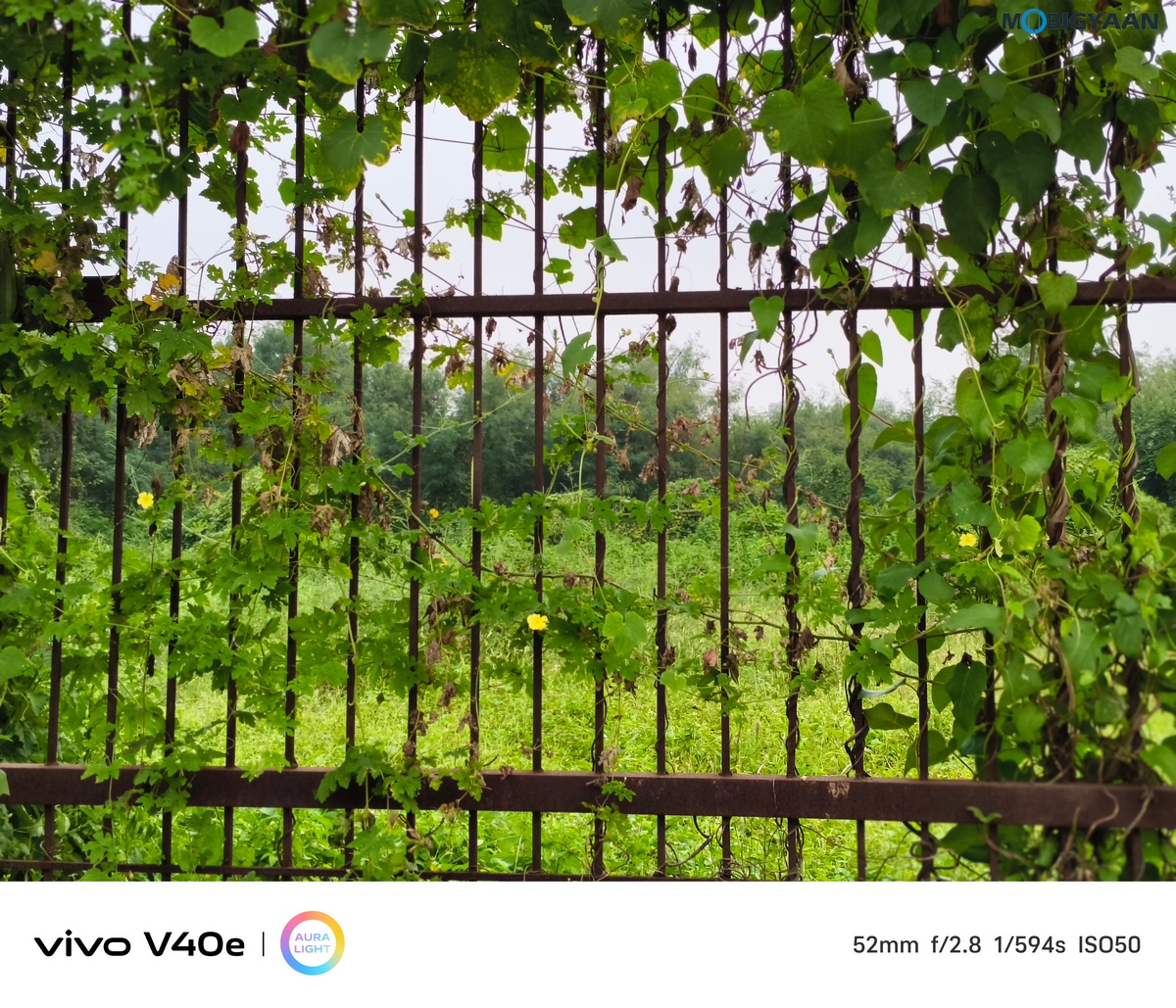 vivo V40e Review Camera Samples 1