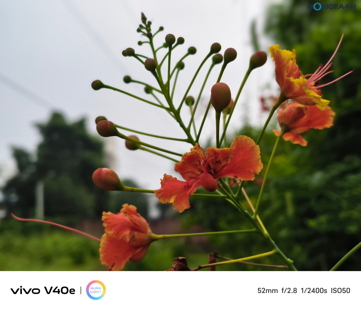 vivo V40e Review Camera Samples 12