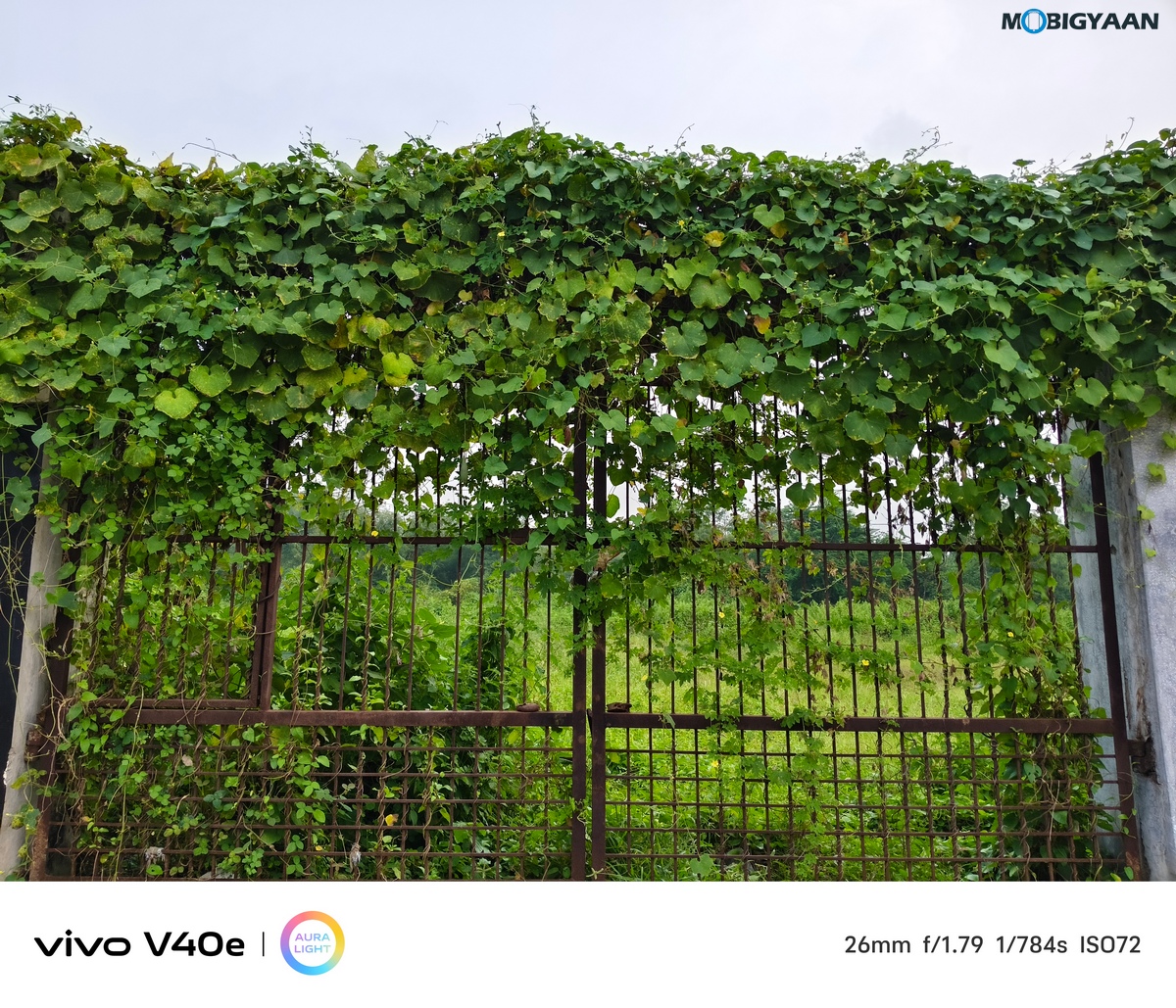 vivo V40e Review Camera Samples 18