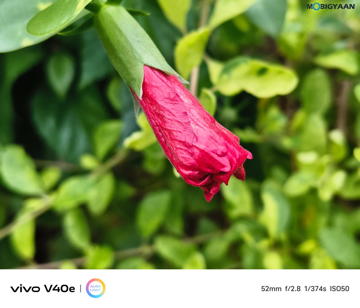 vivo V40e Review Camera Samples 2