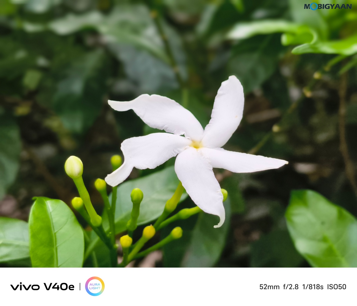 vivo V40e Review Camera Samples 4