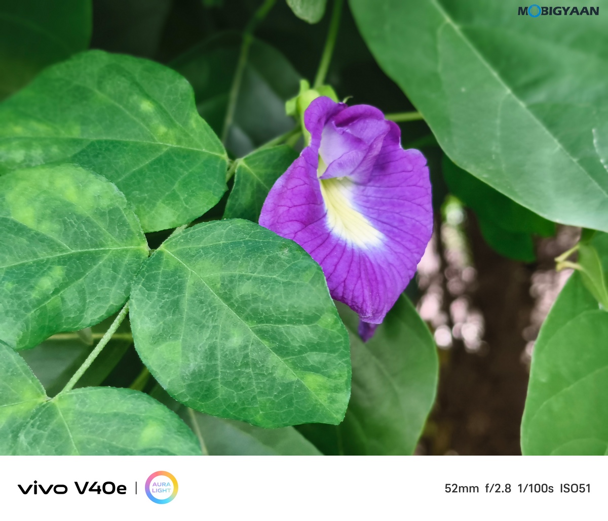 vivo V40e Review Camera Samples 6