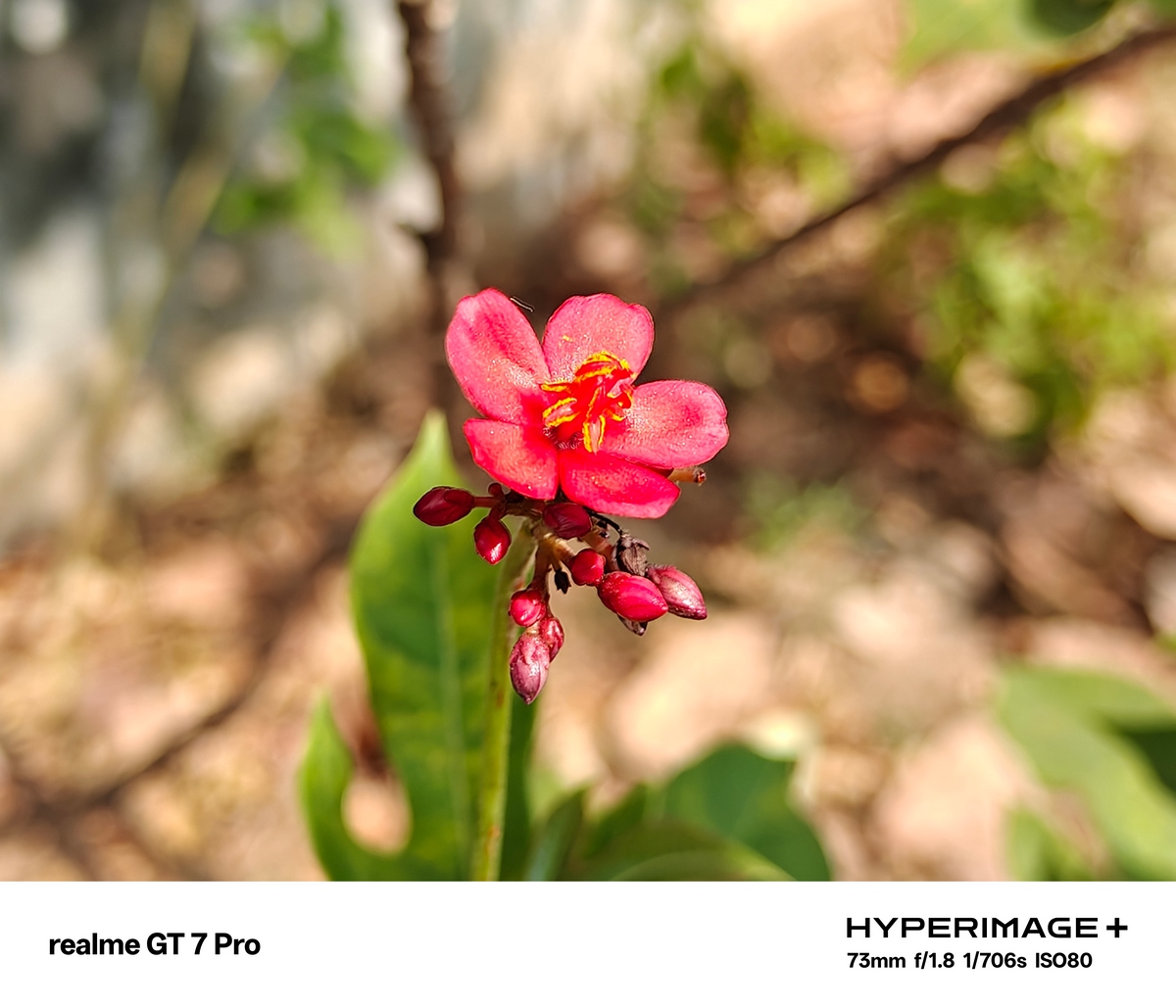 realme GT7 Pro Camera Samples 37