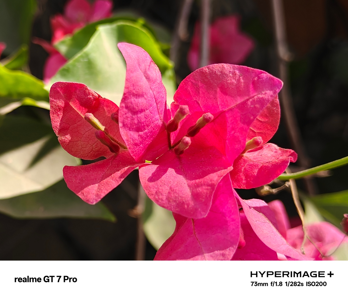 realme GT7 Pro Camera Samples 48