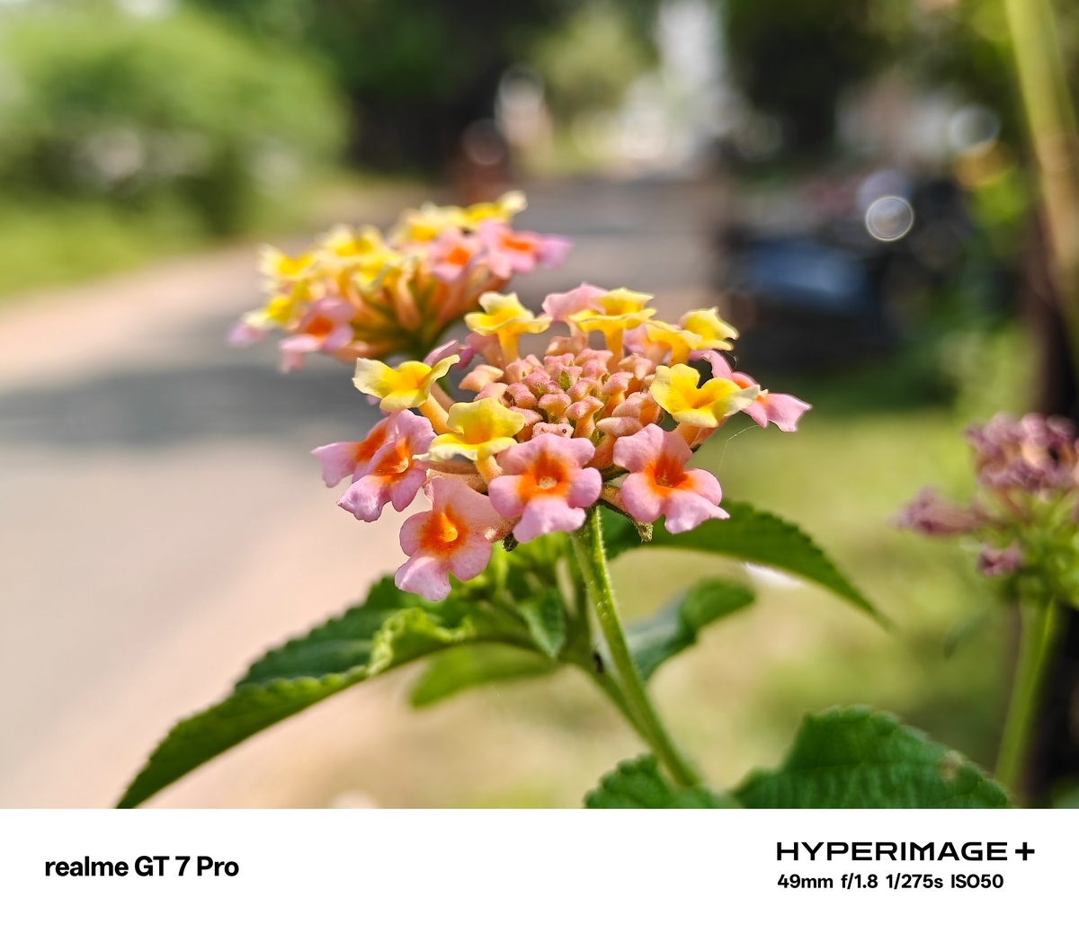 realme GT7 Pro Camera Samples 49