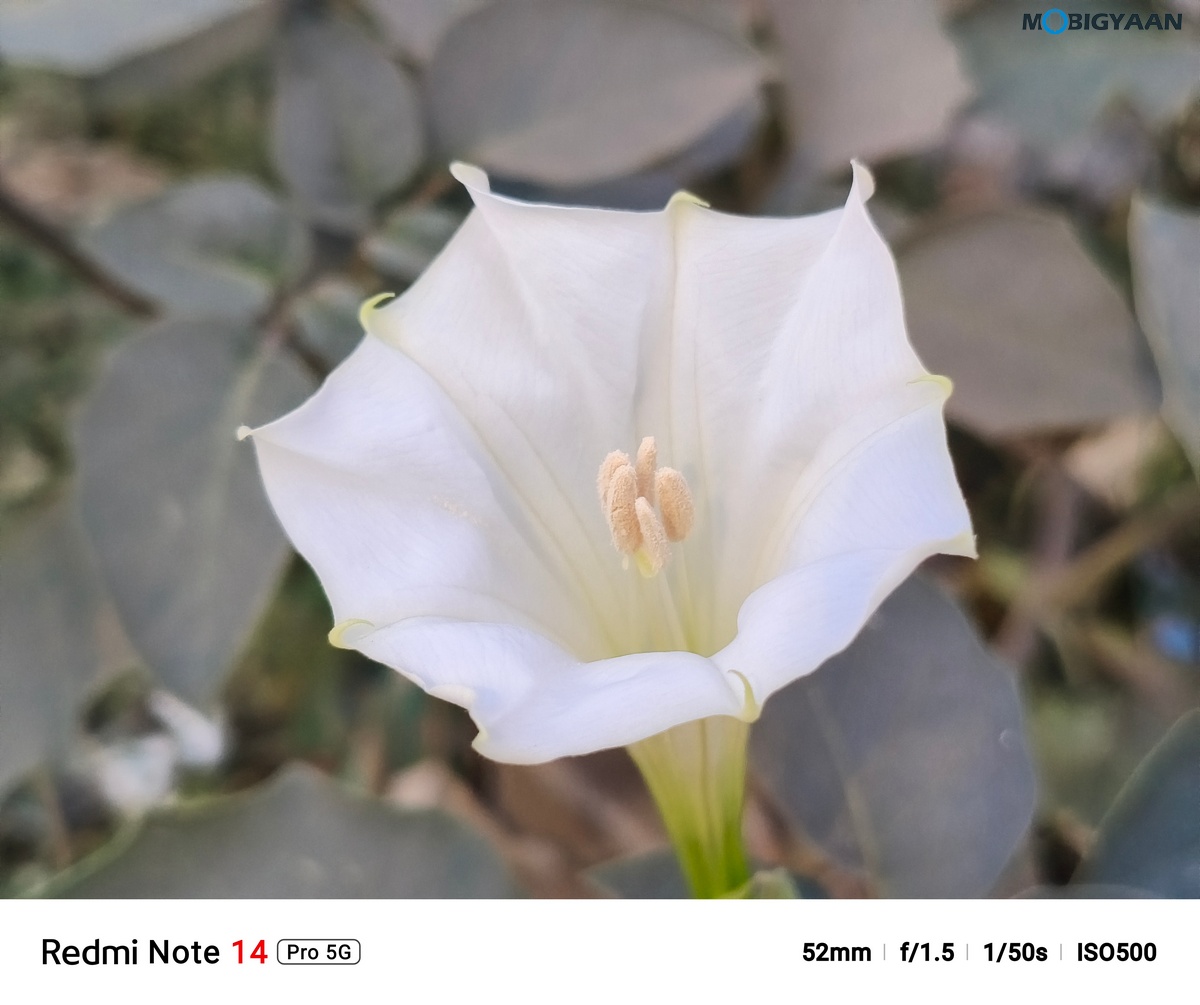 Redmi Note 14 Pro 5G Review Camera Samples 14