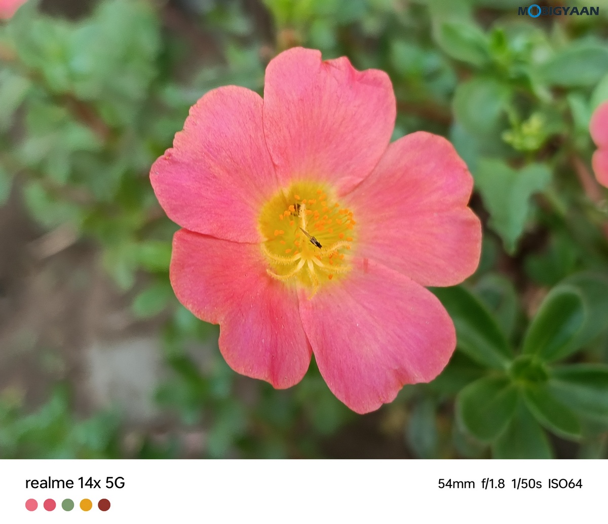 realme 14x 5G Review Camera Samples 15