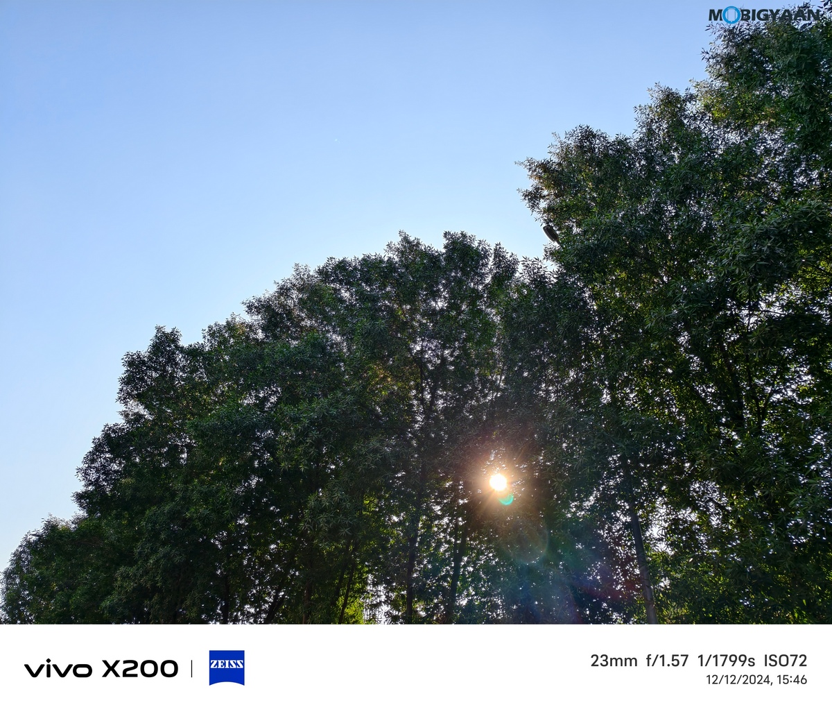 vivo X200 Review Camera Samples 17